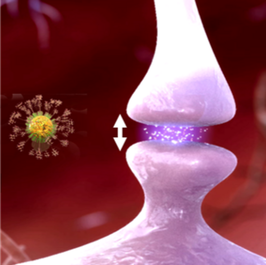 Illustration of synapse and nanodrug candidate