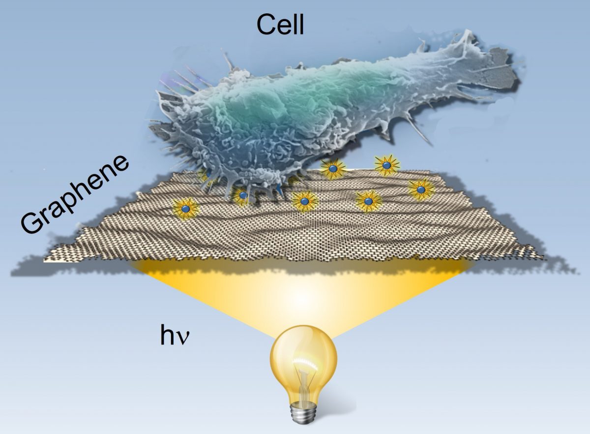 Graphic with cell, light and graphene