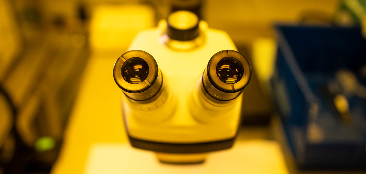 Microscope